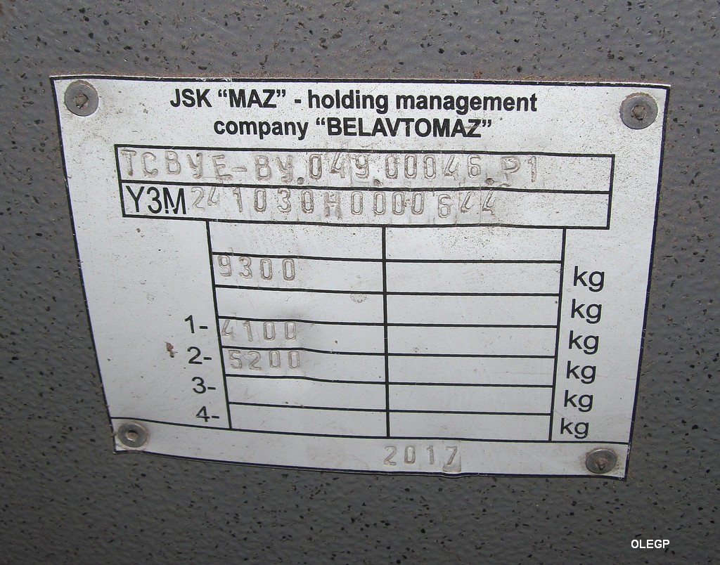 Гомельская область, МАЗ-241.030 № 015831