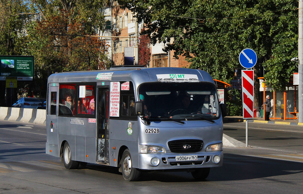 Ростовская область, Hyundai County LWB C09 (ТагАЗ) № 02928