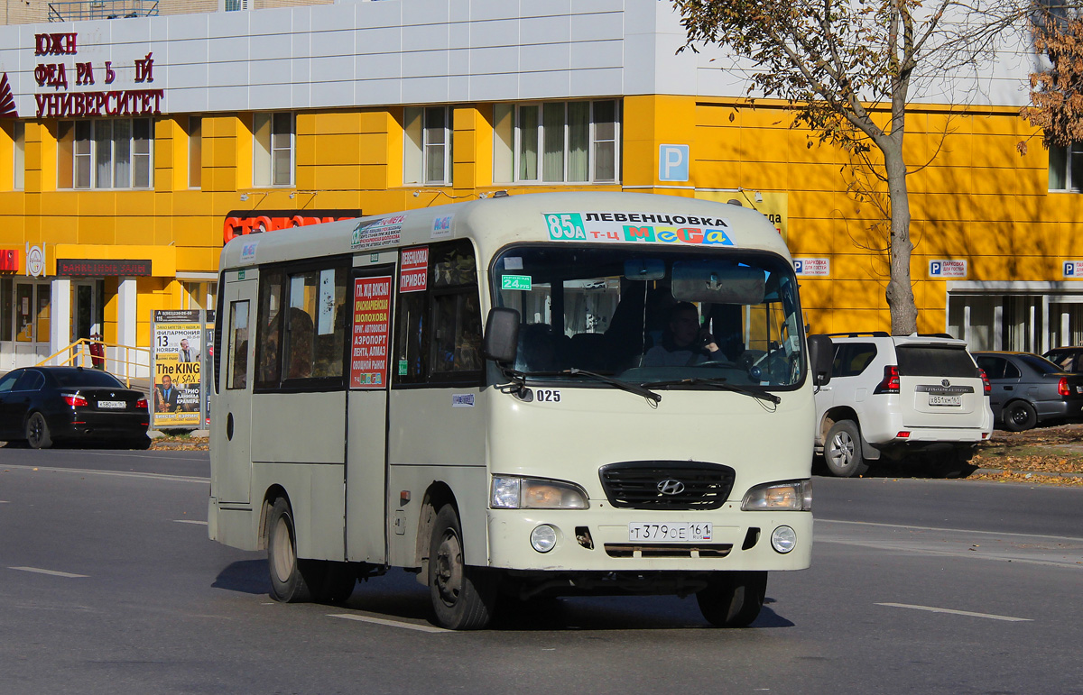 Ростовская область, Hyundai County SWB C08 (РЗГА) № 025