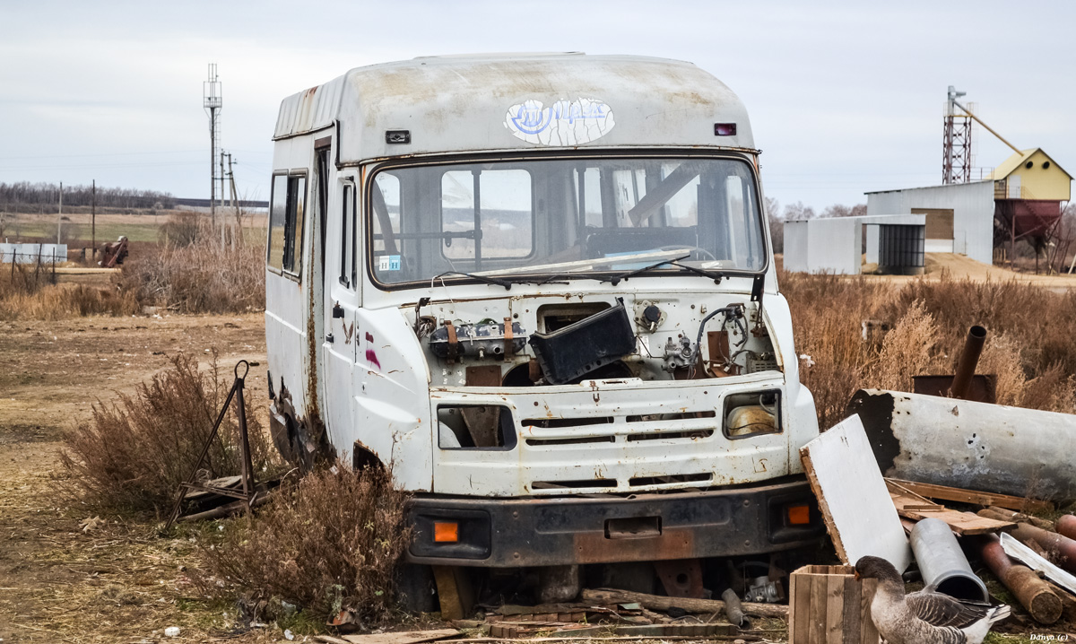 Автобус бычок фото