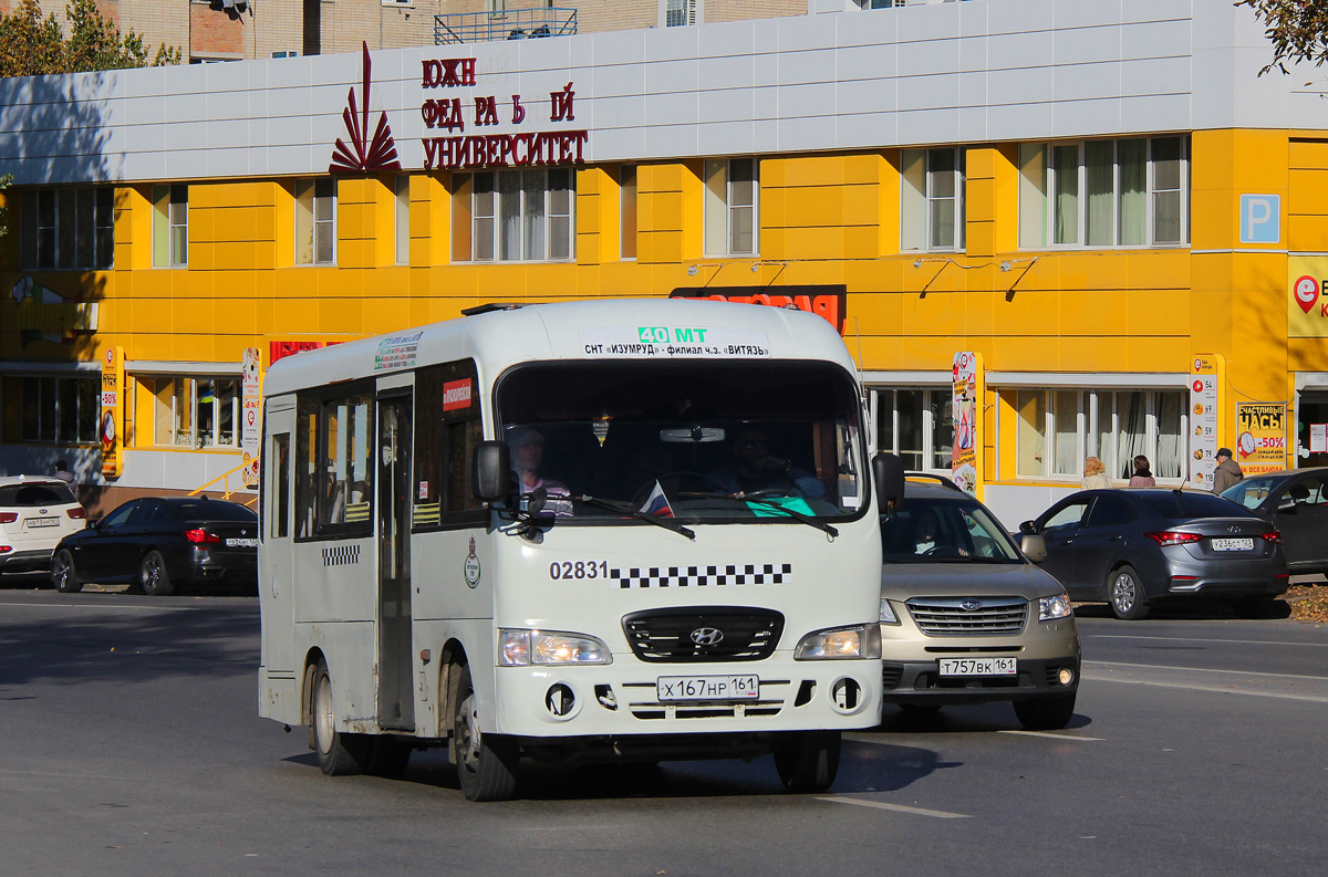 Ростовская область, Hyundai County SWB C08 (ТагАЗ) № 02831