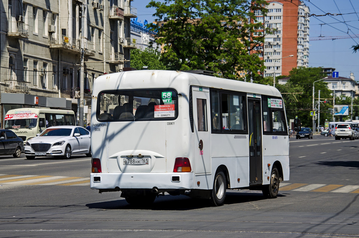 Ростовская область, Hyundai County SWB C08 (ТагАЗ) № 036