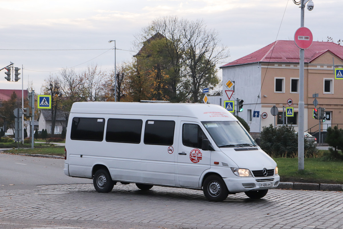 Калининградская область, Mercedes-Benz Sprinter W903 313CDI № Р 486 ОМ 39