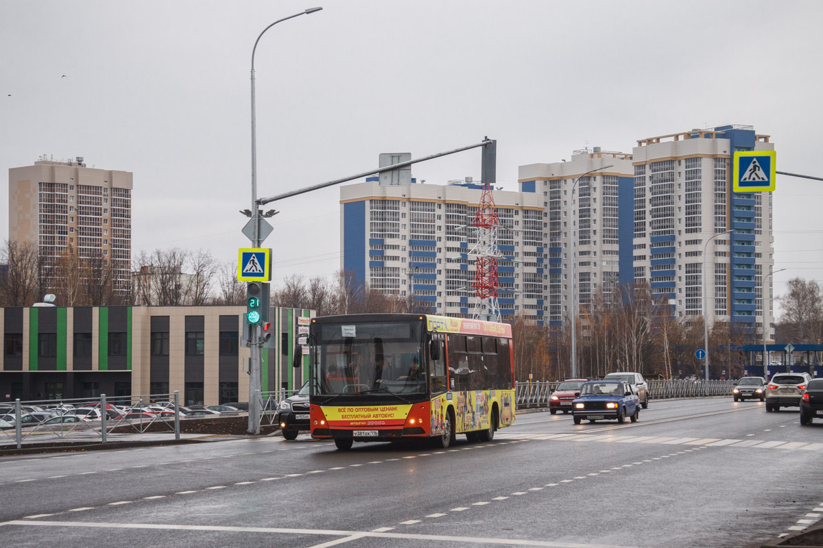 Татарстан, МАЗ-206.067 № 166