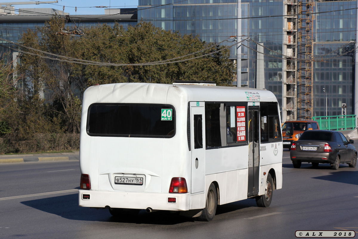 Ростовская область, Hyundai County LWB C09 (ТагАЗ) № 02936