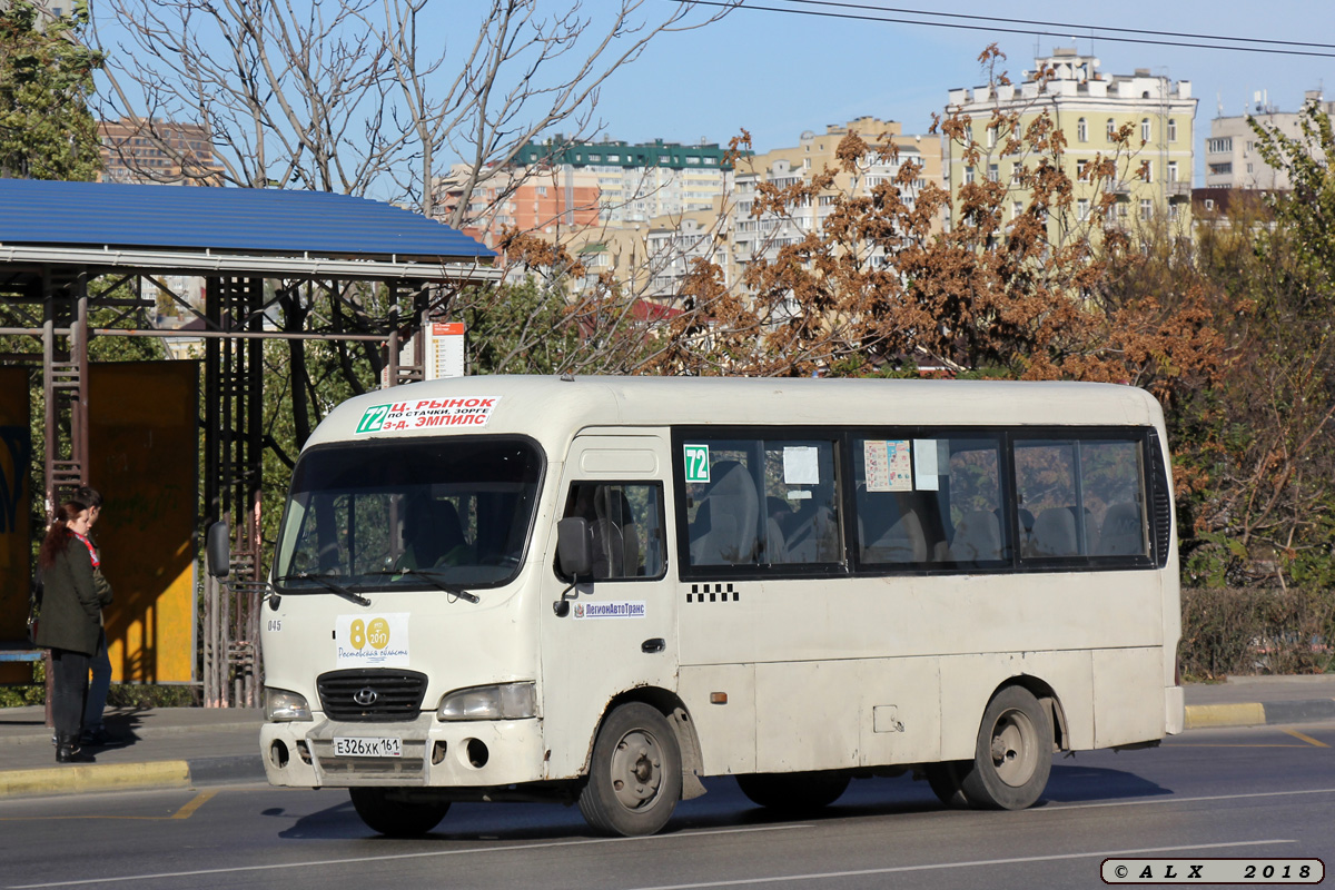 Ростовская область, Hyundai County SWB C08 (РЗГА) № 045