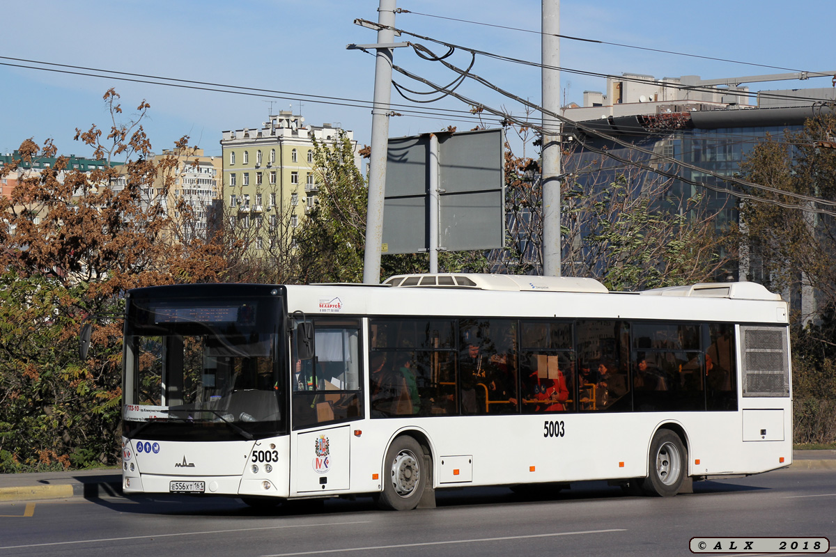 Ростовская область, МАЗ-203.069 № 5003