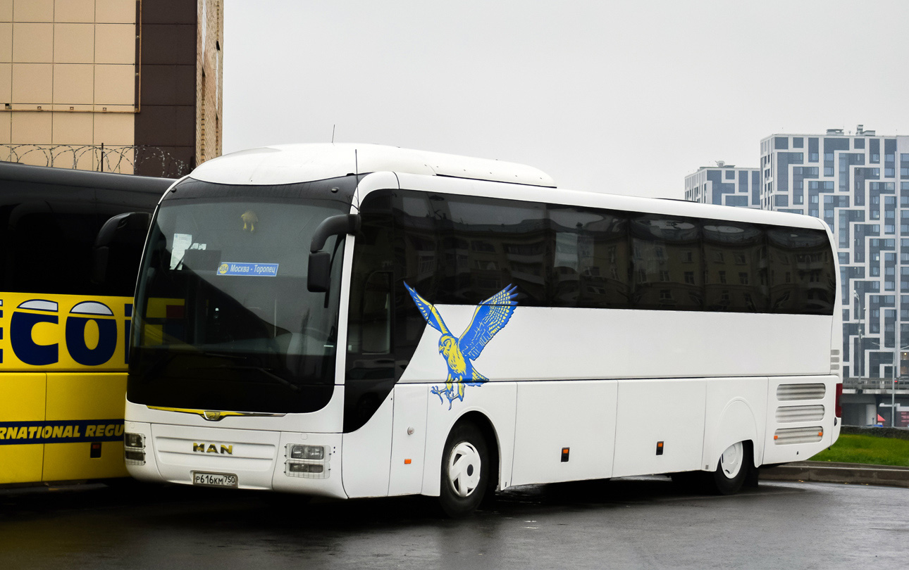 Тверская область, MAN R07 Lion's Coach RHC444 № Р 616 КМ 750