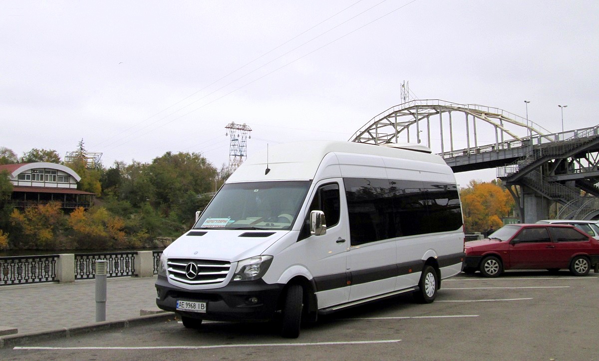 Днепропетровская область, Mercedes-Benz Sprinter W906 319CDI № AE 9968 IB