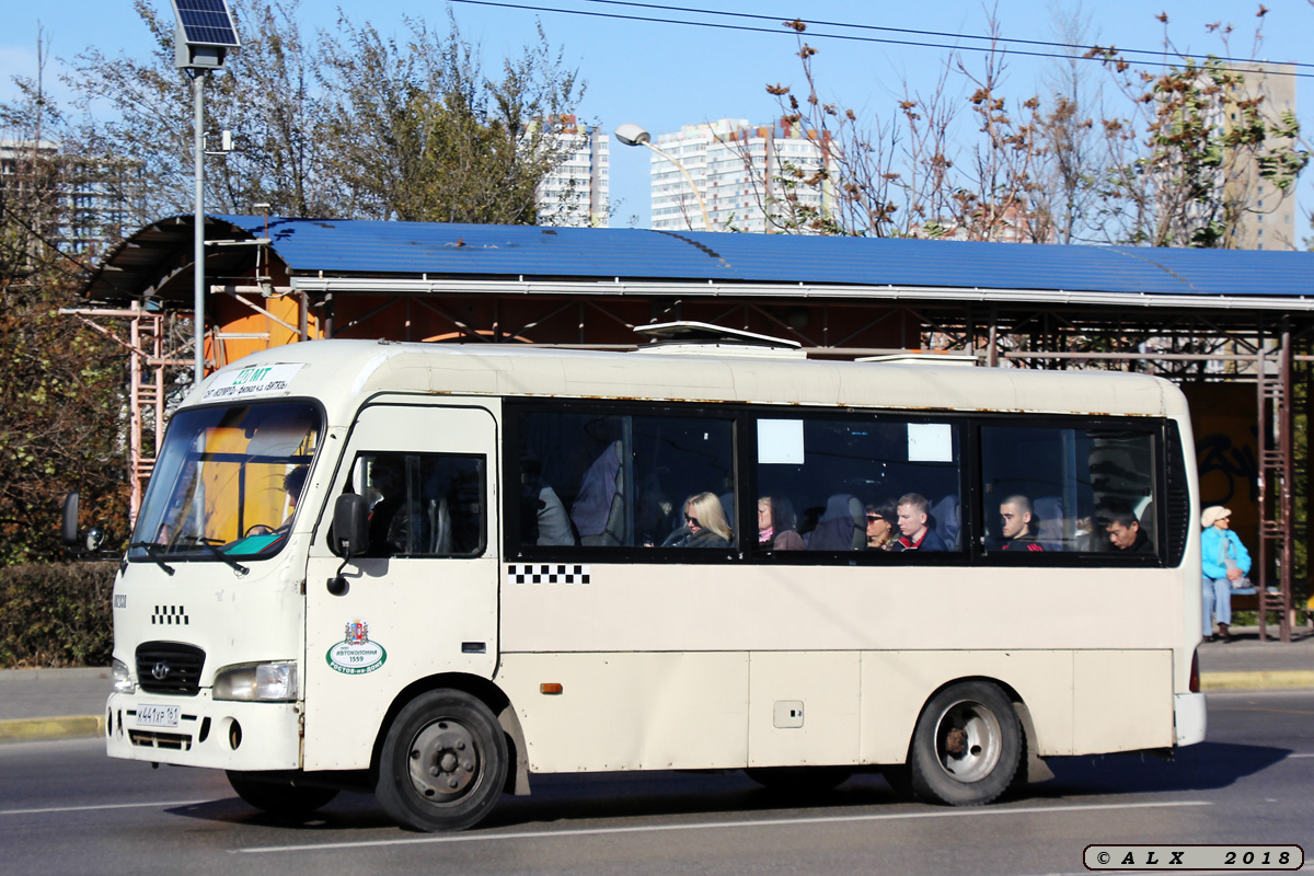 Ростовская область, Hyundai County SWB C08 (РЗГА) № 002030