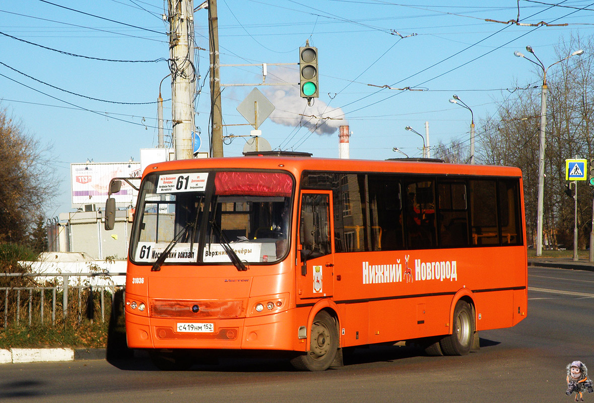 Нижегородская область, ПАЗ-320414-04 "Вектор" № 31036