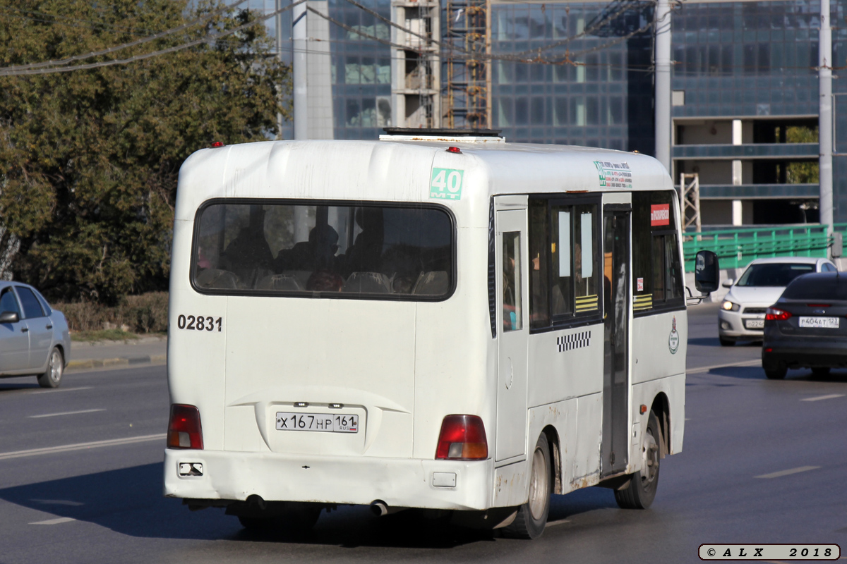 Ростовская область, Hyundai County SWB C08 (ТагАЗ) № 02831