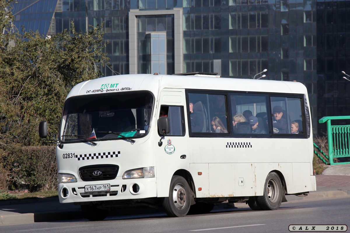 Ростовская область, Hyundai County SWB C08 (ТагАЗ) № 02831