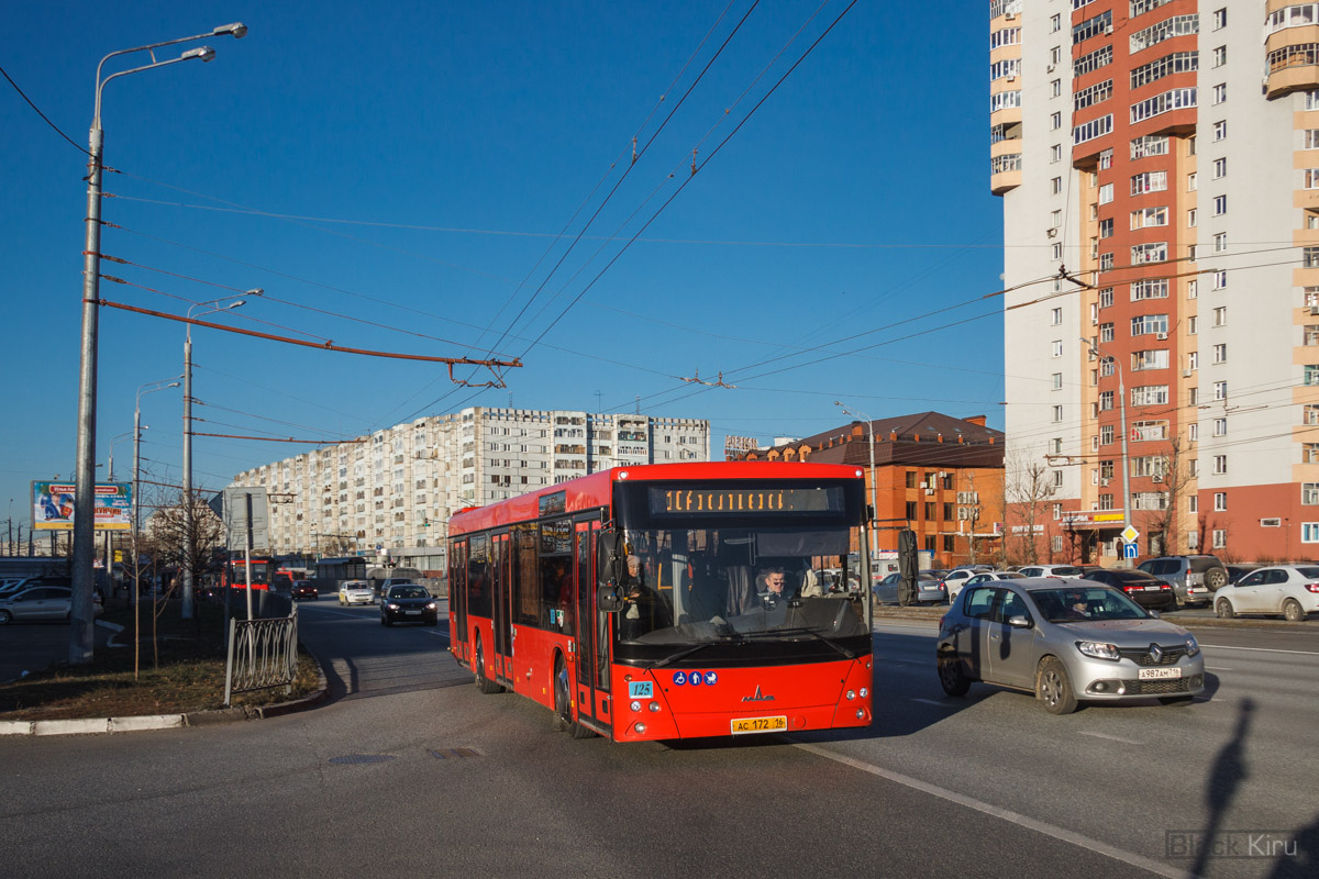 Татарстан, МАЗ-203.069 № 125