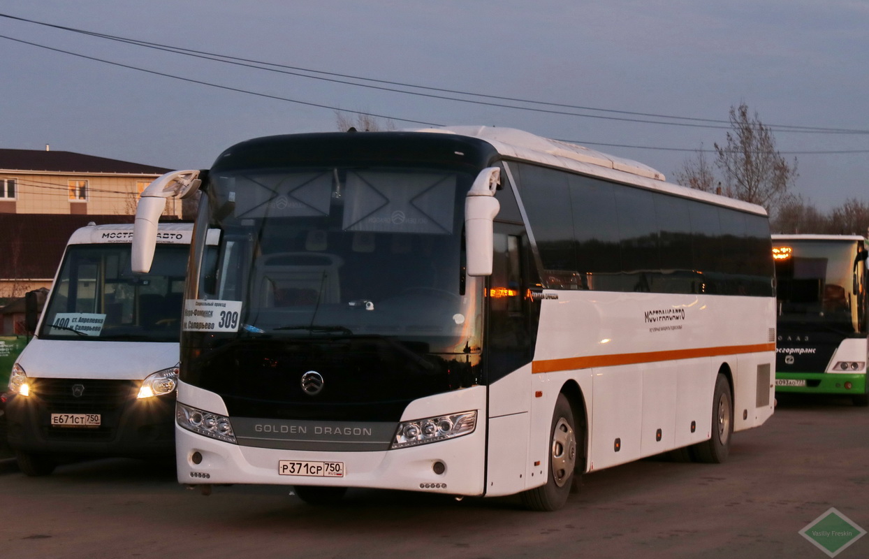 Московская область, Golden Dragon XML6127JR Snow Leopard № Р 371 СР 750