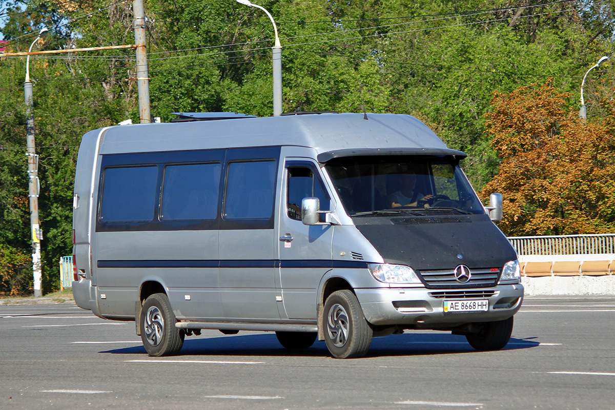 Днепропетровская область, Mercedes-Benz Sprinter W903 313CDI № AE 8668 HH