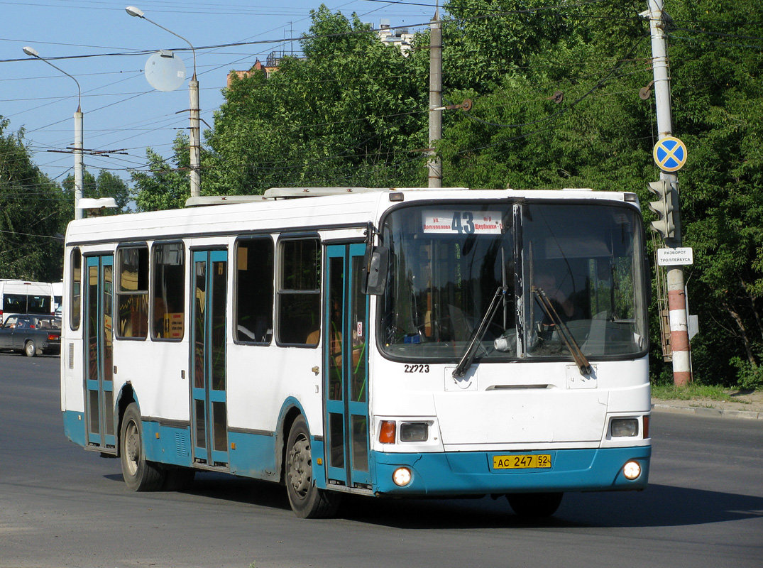 Нижегородская область, ЛиАЗ-5293.00 № 22223