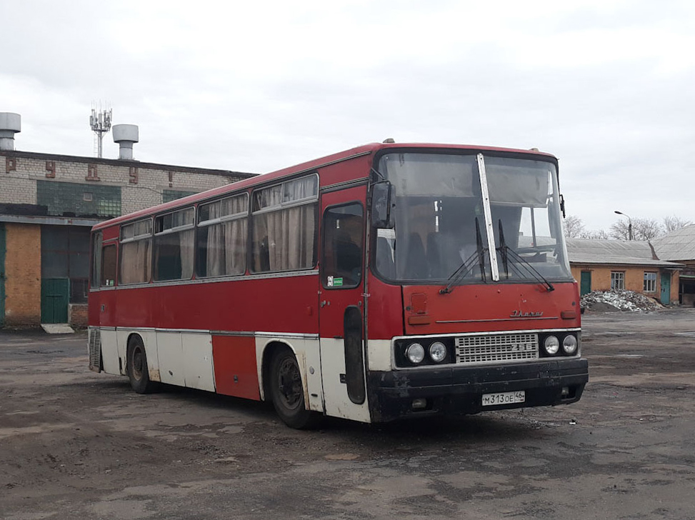 Курская область, Ikarus 256.54 № М 313 ОЕ 46