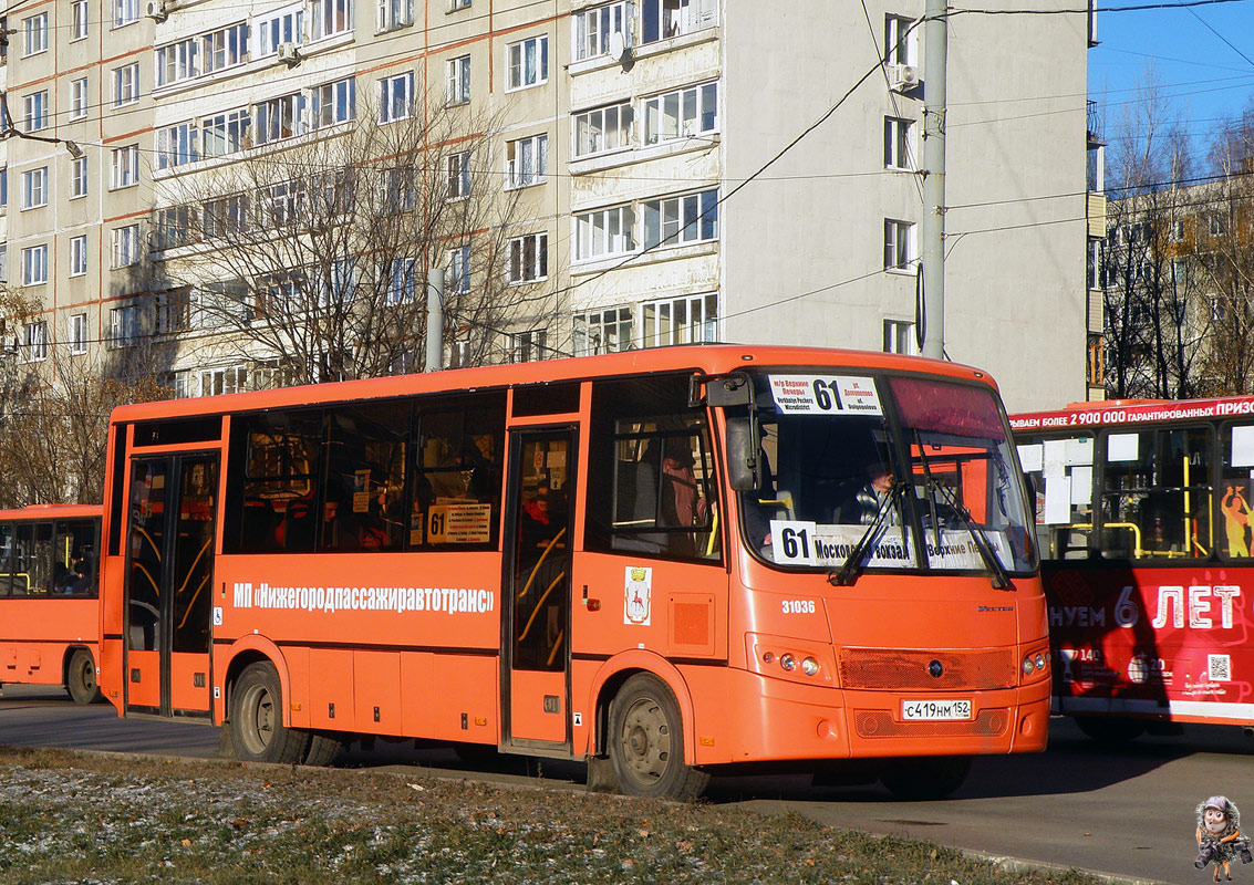 Нижегородская область, ПАЗ-320414-04 "Вектор" № 31036