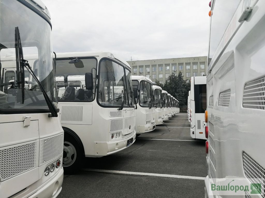 Кемеровская область - Кузбасс — Новые автобусы