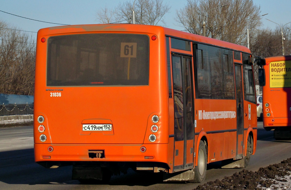 Нижегородская область, ПАЗ-320414-04 "Вектор" № 31036