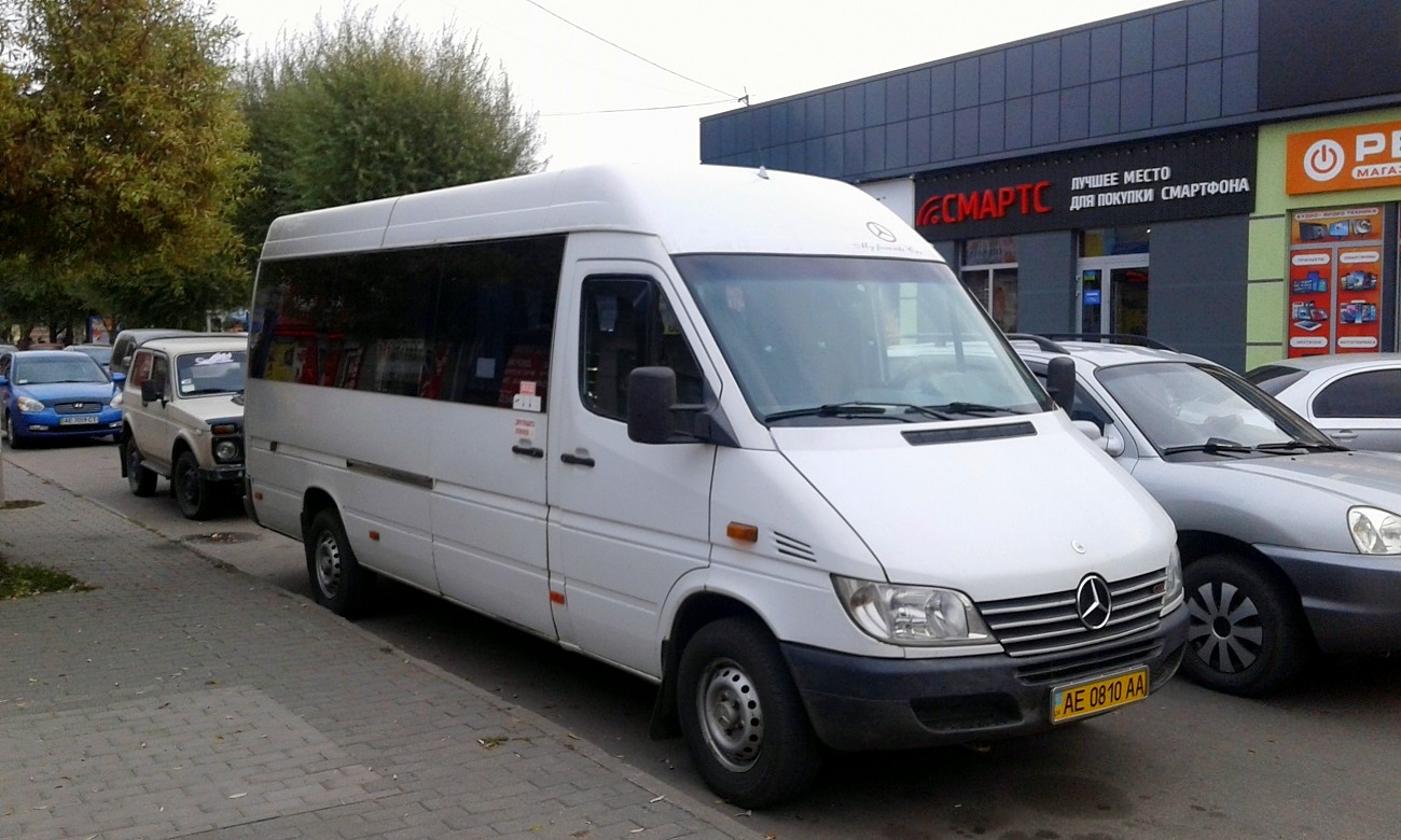 Днепропетровская область, Mercedes-Benz Sprinter W903 313CDI № AE 0810 AA