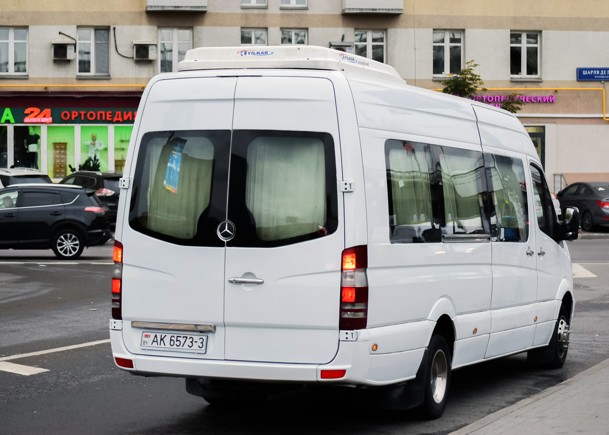 Гомельская область, Луидор-22360C (MB Sprinter) № АК 6573-3