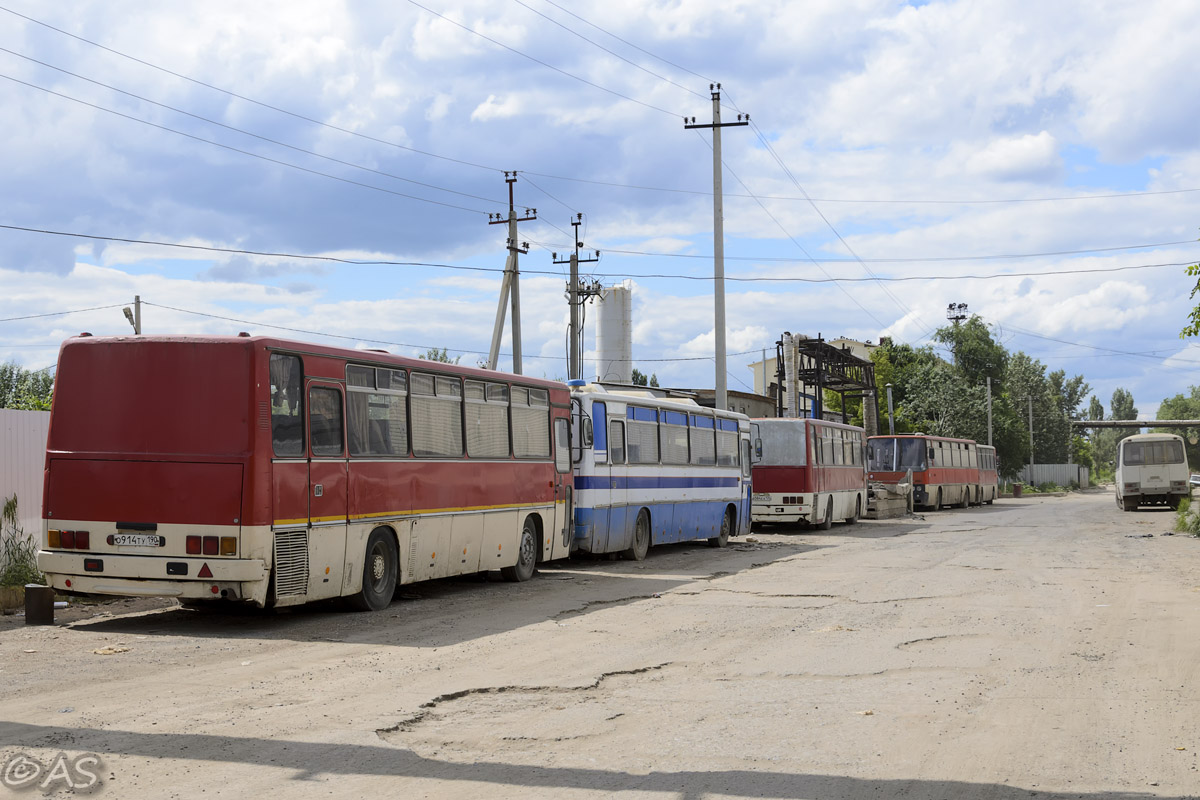 Волгоградская область, Ikarus 256.51 № О 914 ТУ 190; Волгоградская область — Разные фотографии