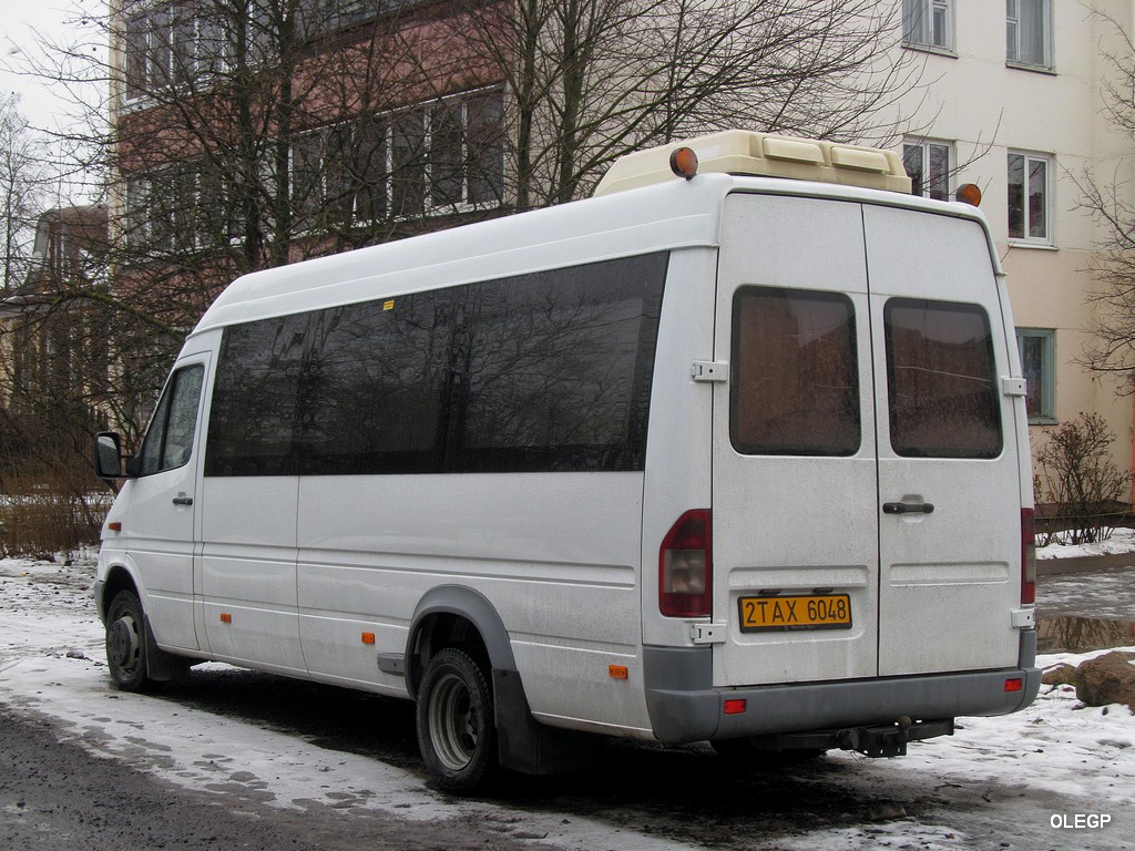 Витебская область, Mercedes-Benz Sprinter W904 408CDI № 2 ТАХ 6048