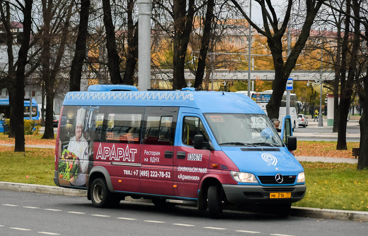 Москва, Луидор-223206 (MB Sprinter Classic) № 030678