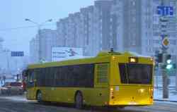 244 КБ