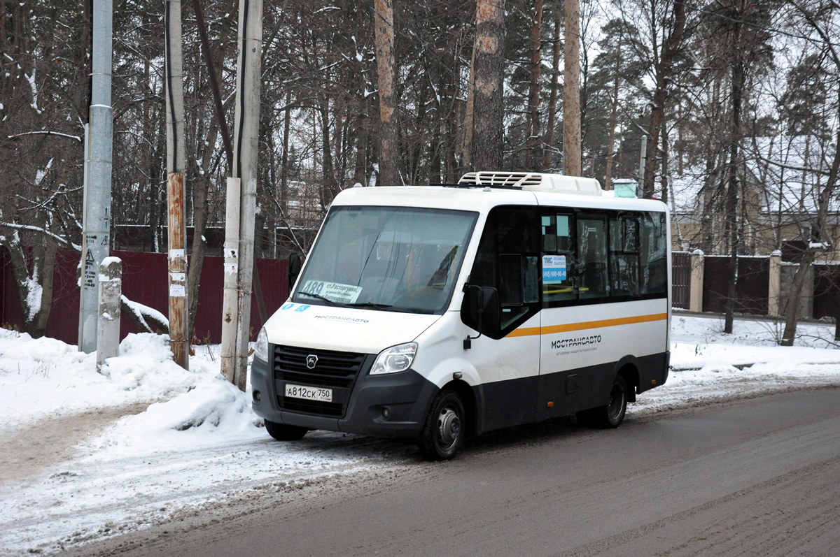 Московская область, Луидор-2250DS (ГАЗ Next) № 1058