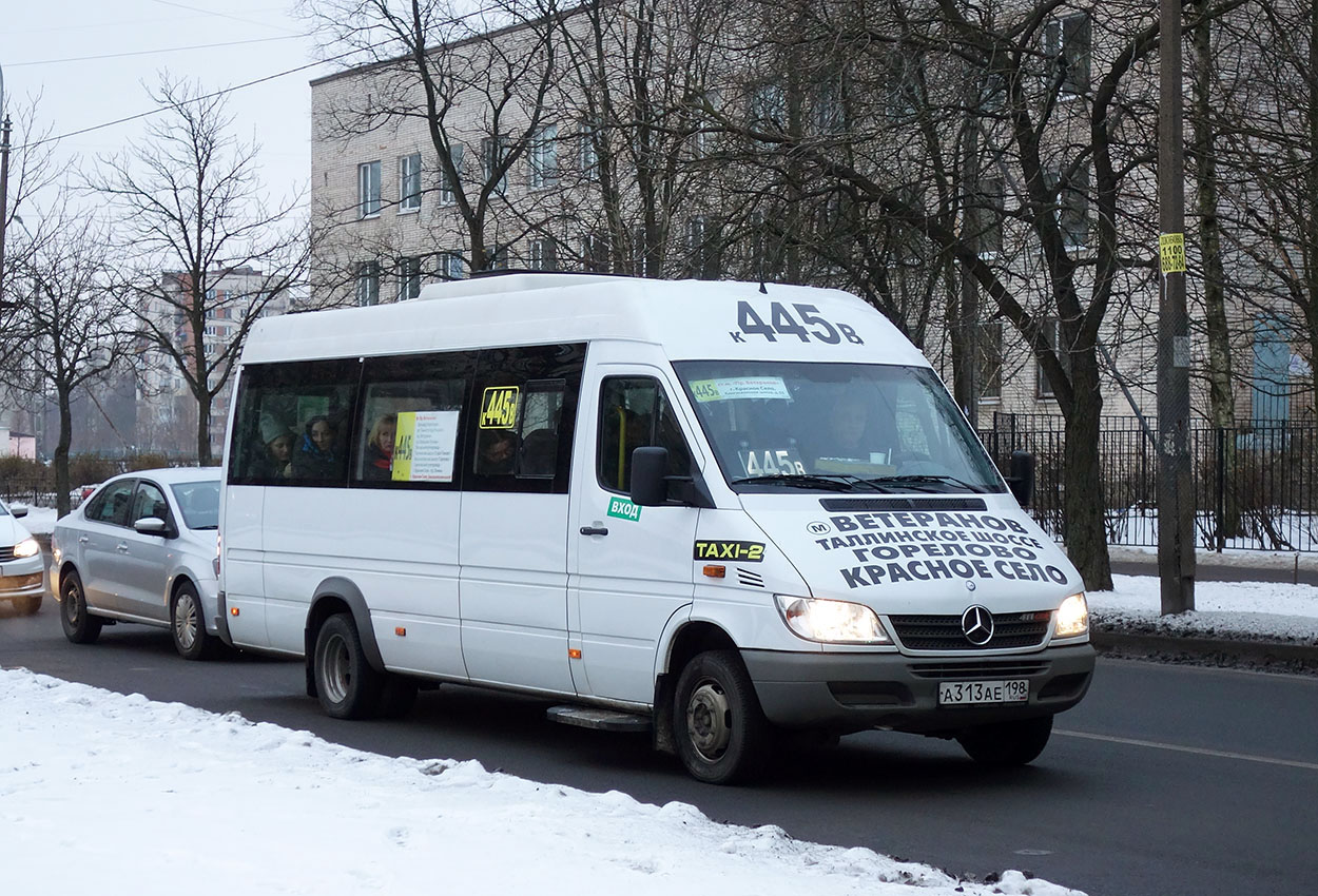 Санкт-Петербург, Луидор-223206 (MB Sprinter Classic) № А 313 АЕ 198