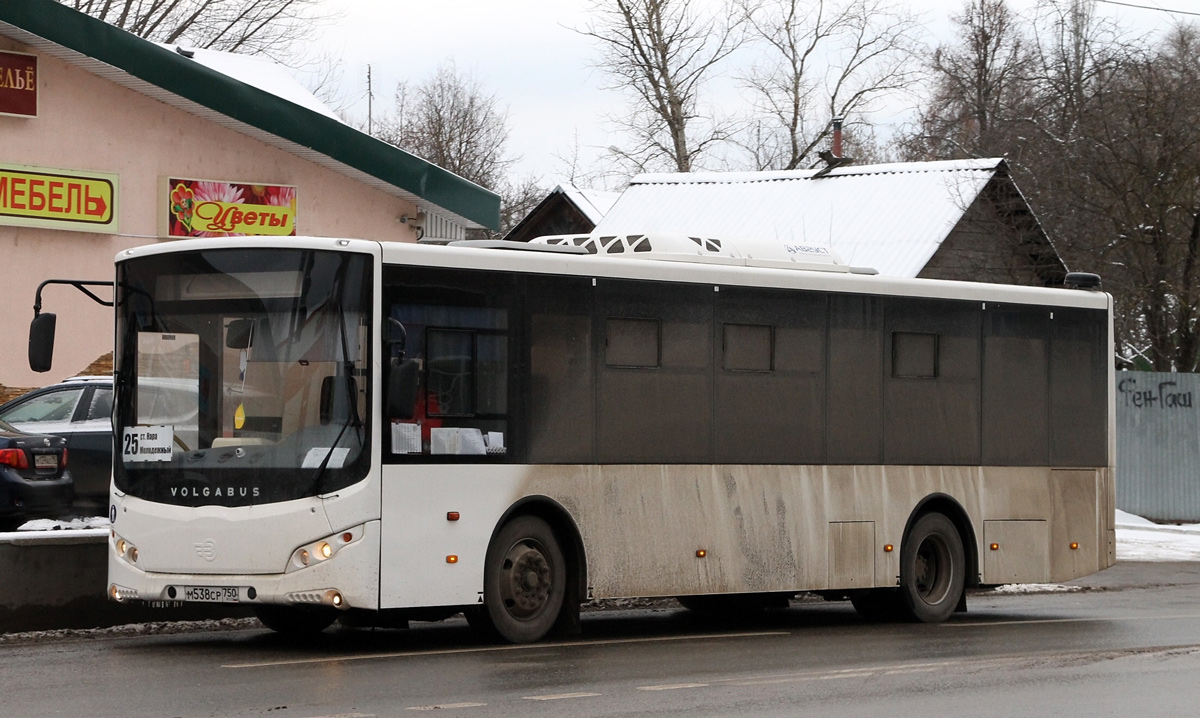 Московская область, Volgabus-5270.0H № М 538 СР 750