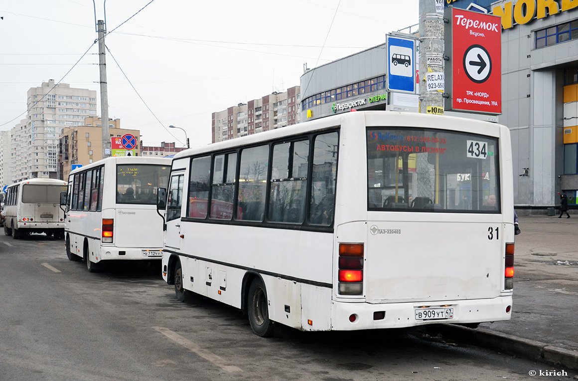 Ленинградская область, ПАЗ-320402-05 № 31