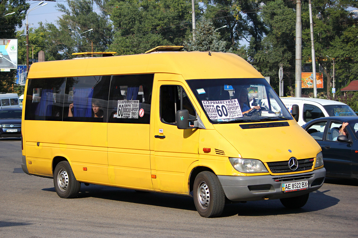 Днепропетровская область, Mercedes-Benz Sprinter W903 313CDI № AE 8522 BX