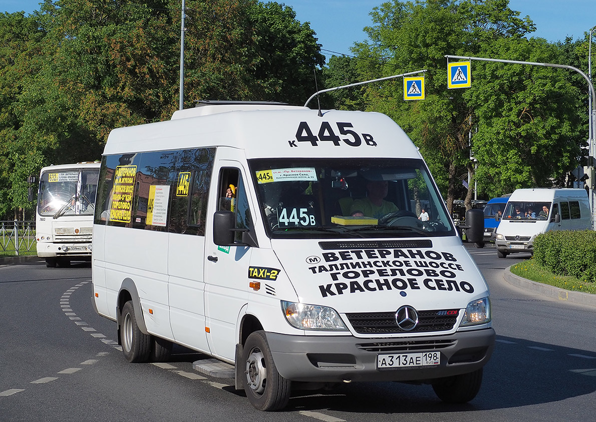 Санкт-Петербург, Луидор-223206 (MB Sprinter Classic) № А 313 АЕ 198