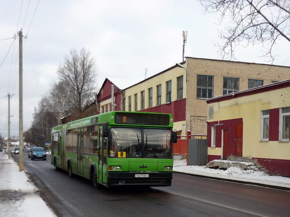 Vitebsk region, MAZ-105.065 Nr. 010456