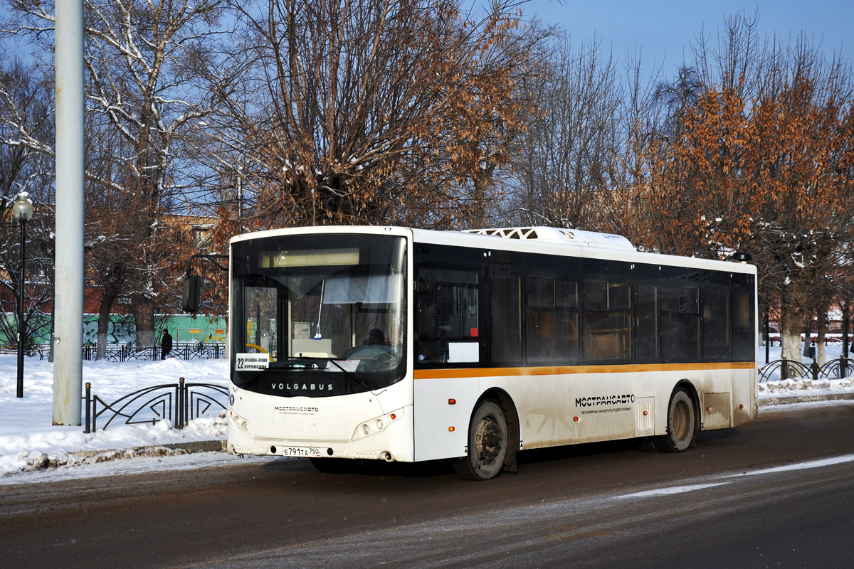 Московская область, Volgabus-5270.0H № 4049