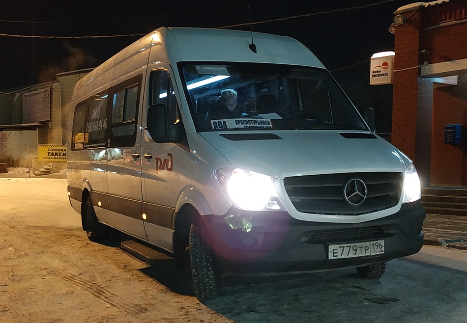 Свердловская область, Луидор-223602 (MB Sprinter) № Е 779 ТР 196