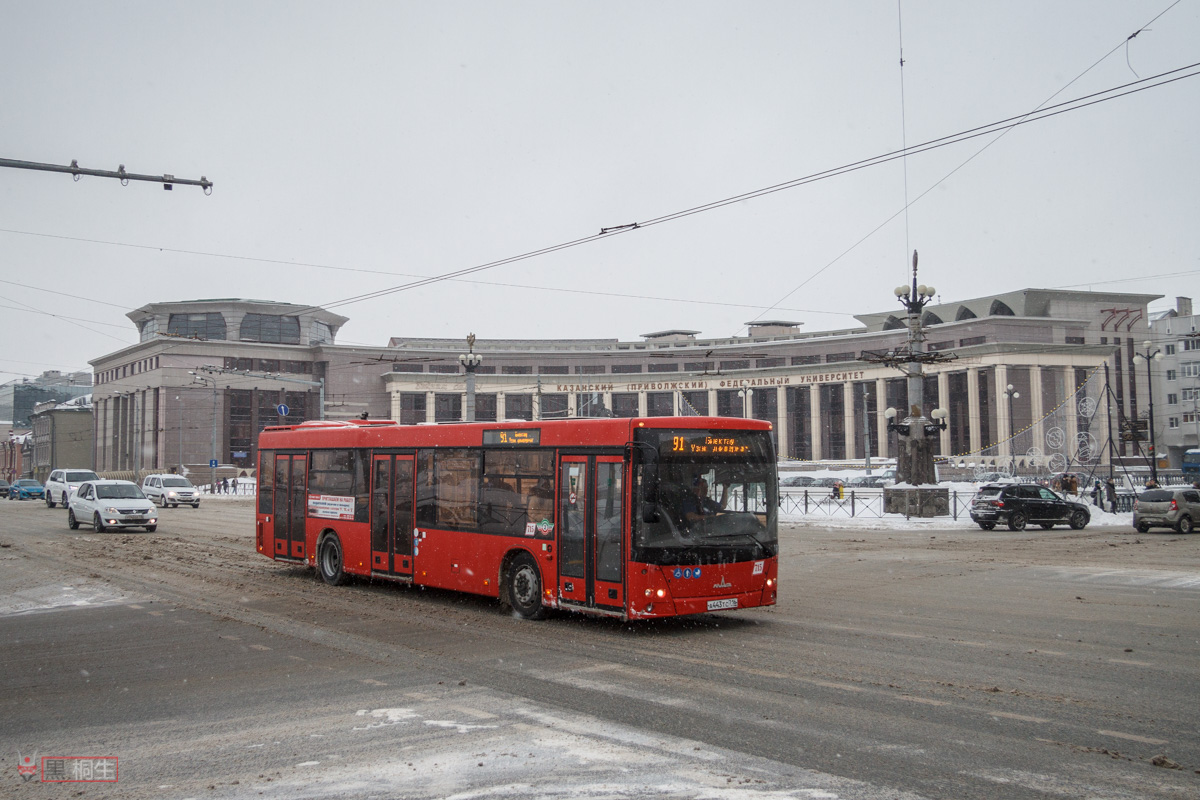 Татарстан, МАЗ-203.069 № 715