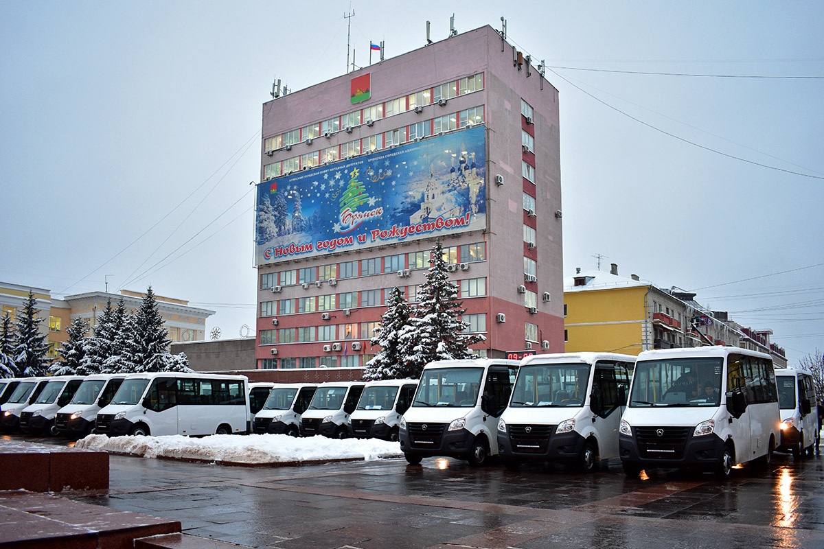 Брянская область — Новые автобусы