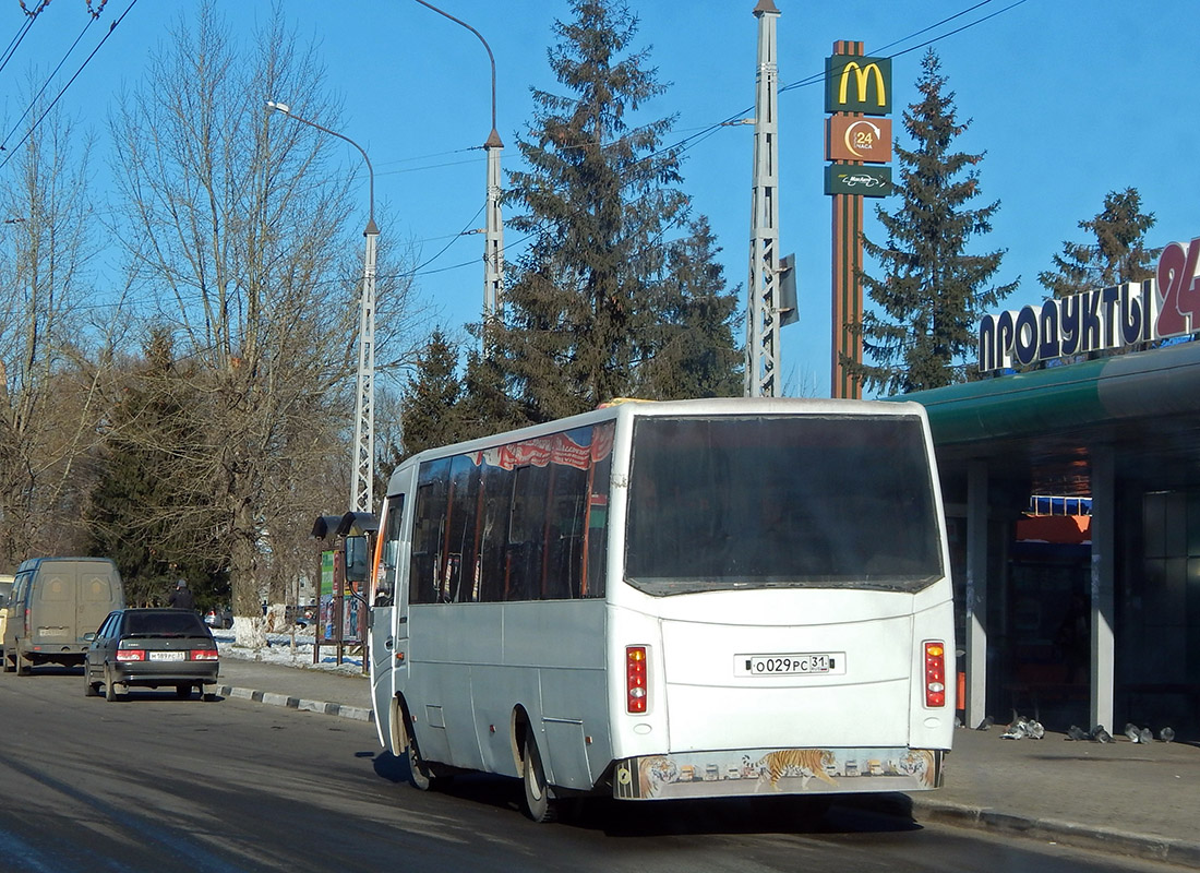 Белгородская область, Volgabus-4298.01 № О 029 РС 31