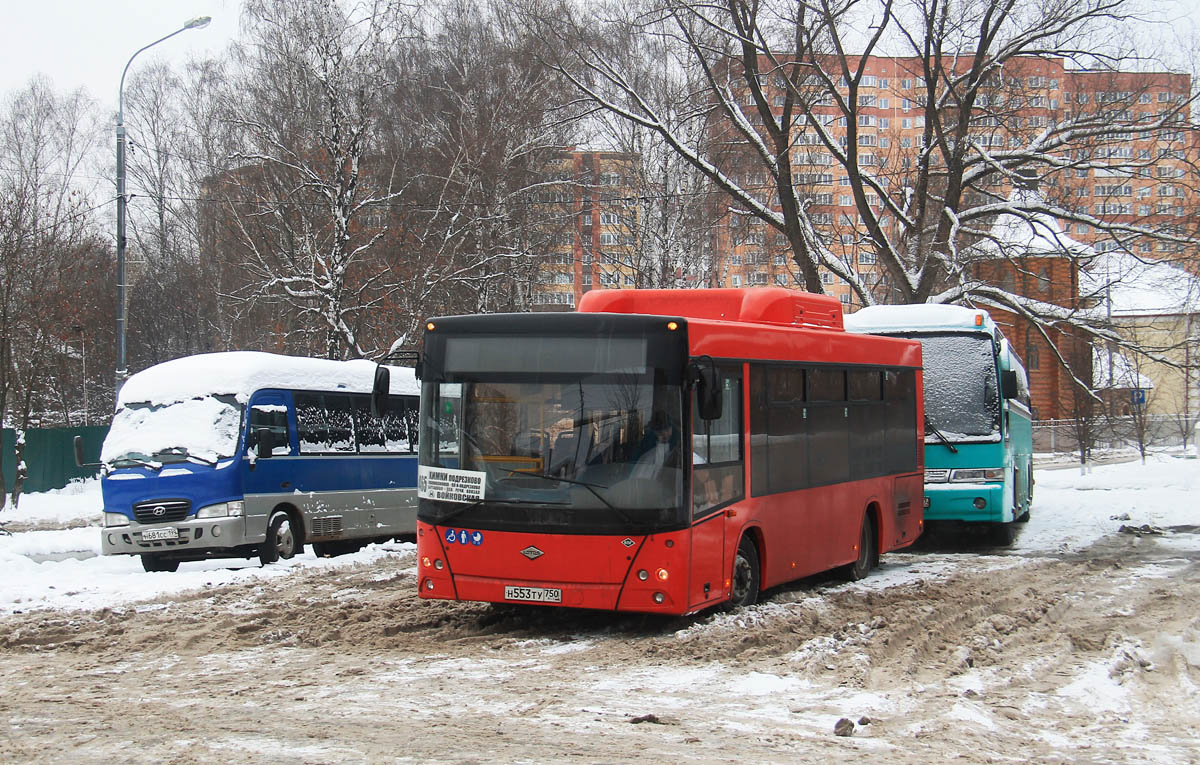 Московская область, Lotos-206 № Н 553 ТУ 750