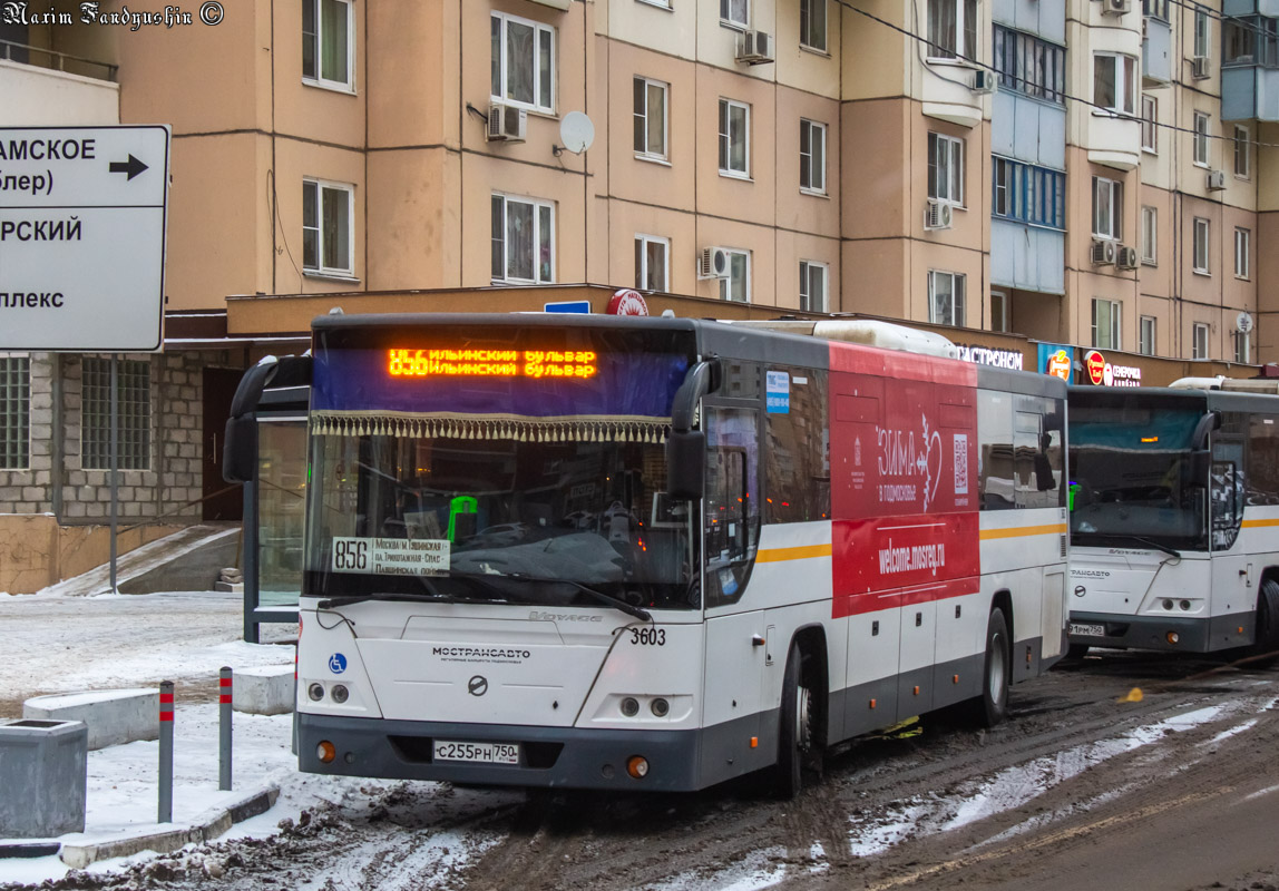 Московская область, ЛиАЗ-5250 № 3603