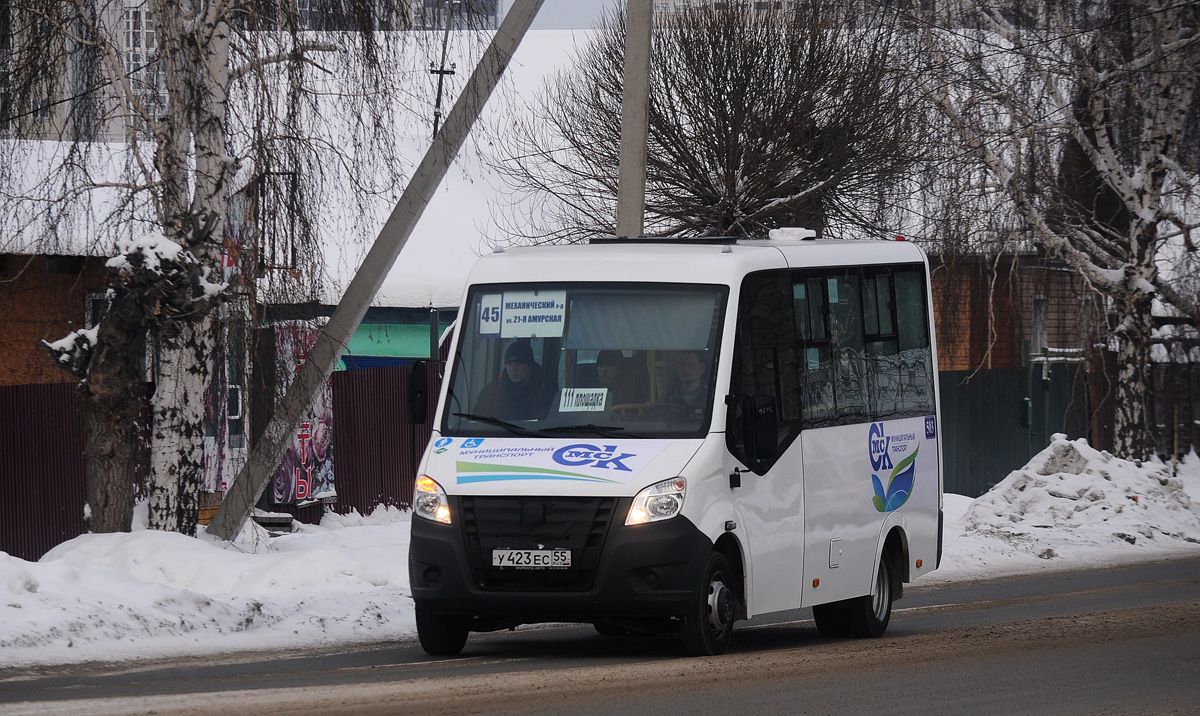 Omsk region, Luidor-2250DS (GAZ Next) Nr. 503