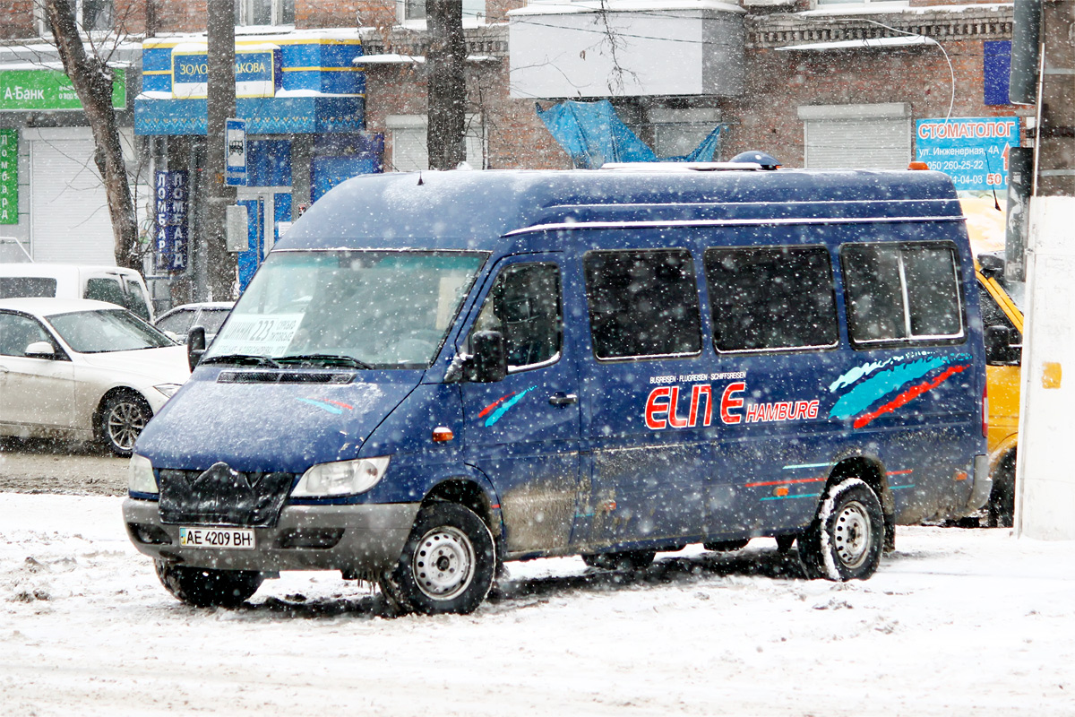 Днепропетровская область, Mercedes-Benz Sprinter W903 313CDI № AE 4209 BH