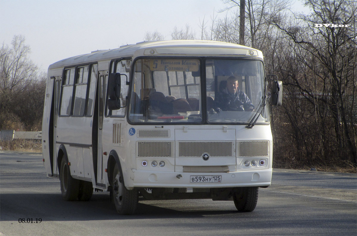 Приморский край, ВСА30331 (ПАЗ-4234) № В 593 НУ 125