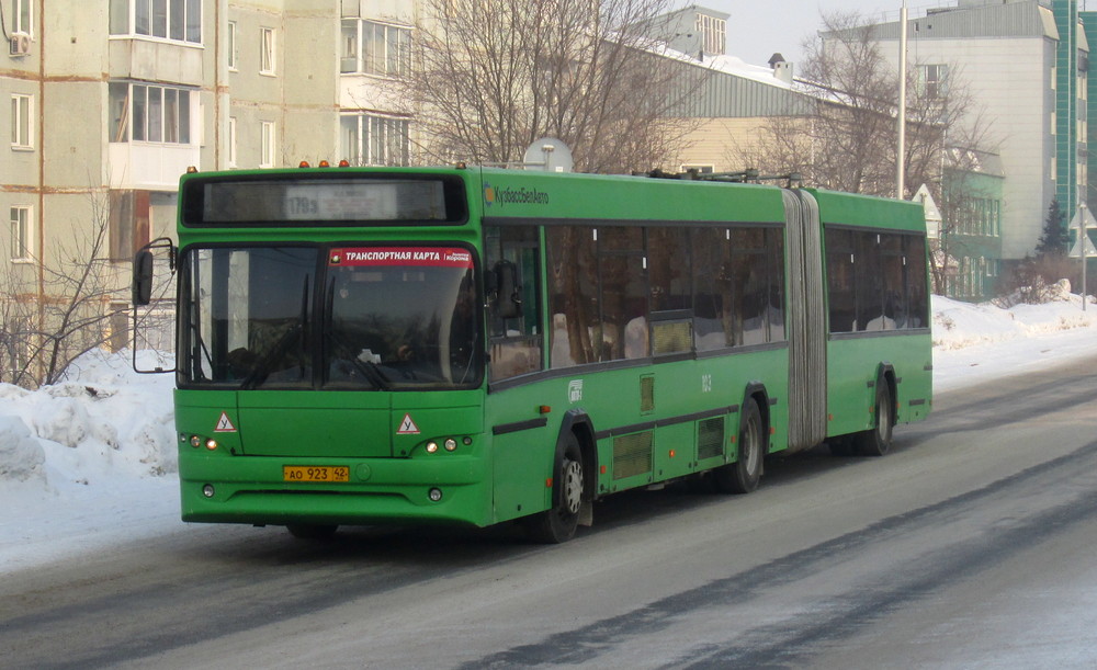 Кемераўская вобласць-Кузбас, МАЗ-105.465 № 103