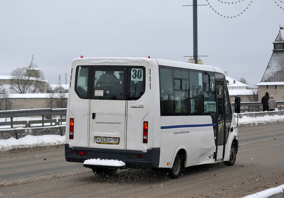 Псковская область, Луидор-225019 (ГАЗ Next) № 118